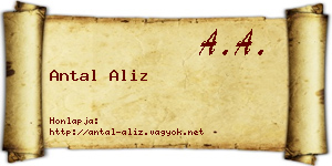 Antal Aliz névjegykártya